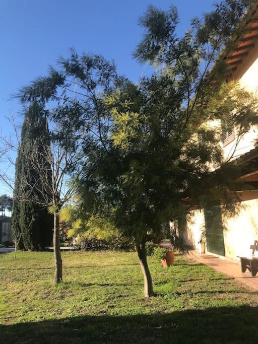 Casa Isabelle Apartment Canneto  ภายนอก รูปภาพ
