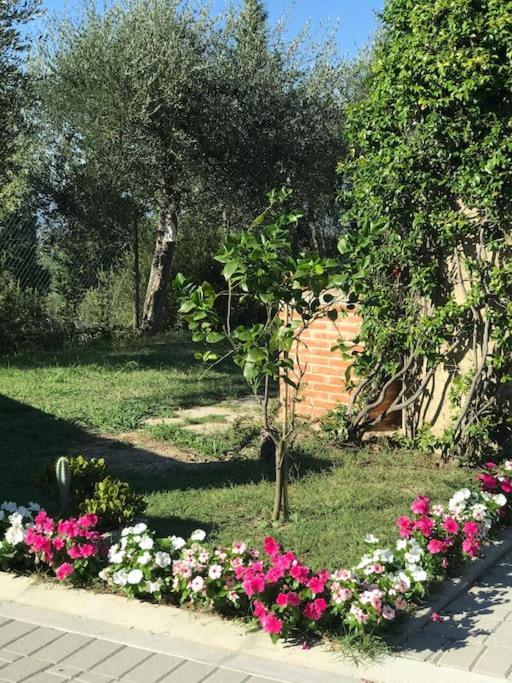Casa Isabelle Apartment Canneto  ภายนอก รูปภาพ