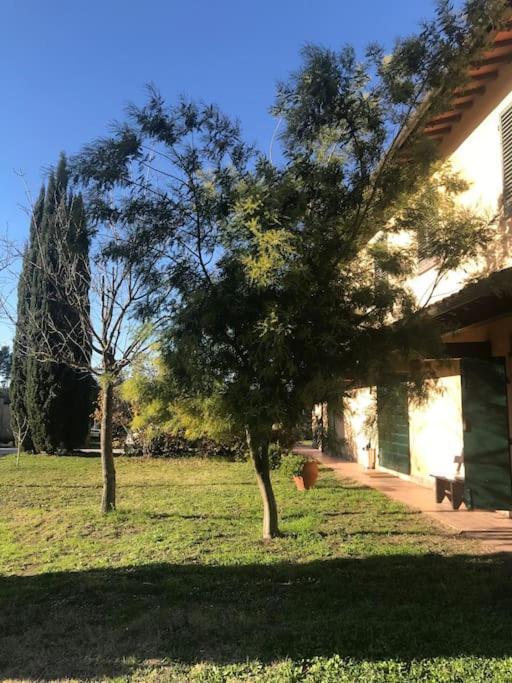 Casa Isabelle Apartment Canneto  ภายนอก รูปภาพ
